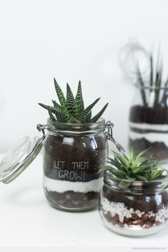 Cadeau invité mariage suculentes pot en verre type conserve