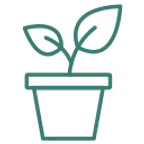 icône faire pousser