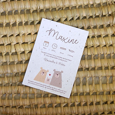 faire-part naissance ensemencé ours