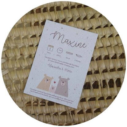 faire-part naissance papier ensemencé famille ours