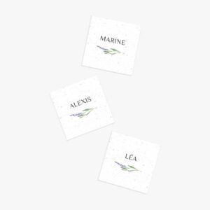 marque place à planter lavande