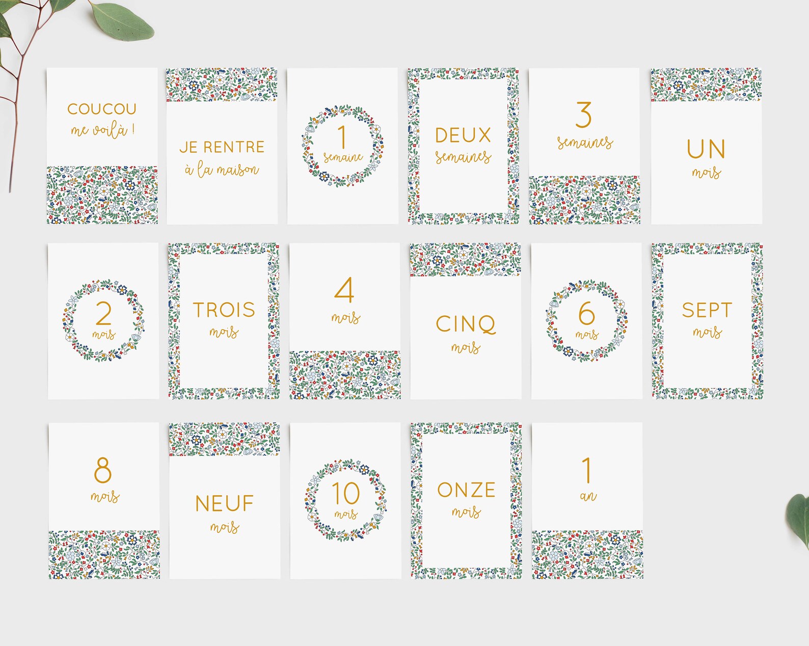 Cartes étapes première année bébé multicolor à imprimer