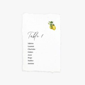 Carte plan de table citron papier artisanal