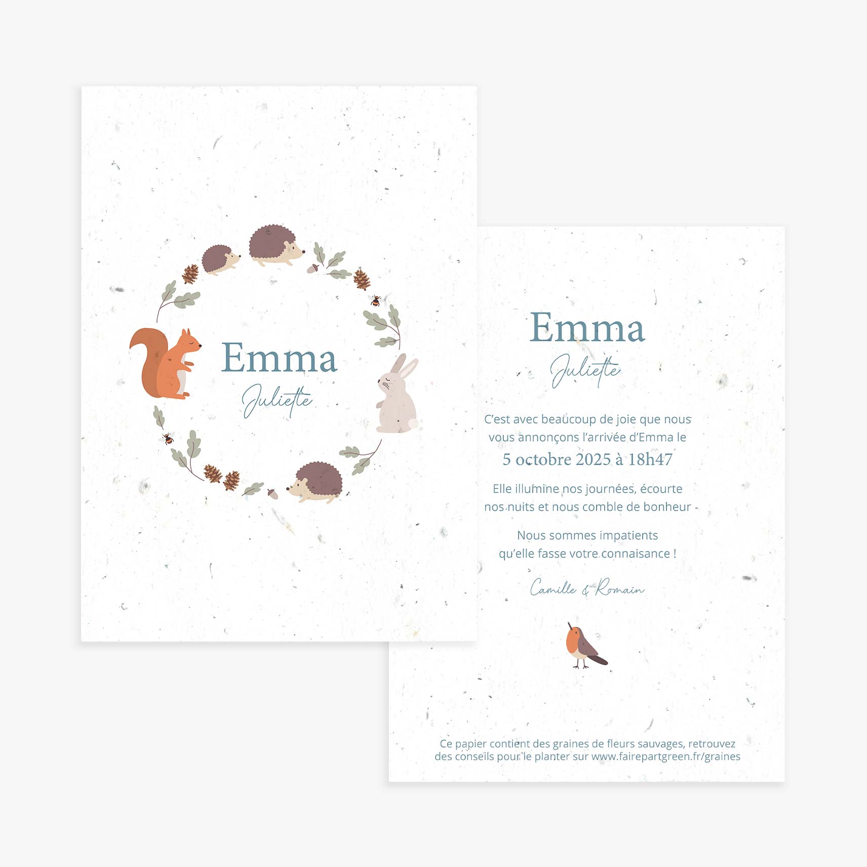 faire-part-naissance-a-planter-foret-ecureuil-recto-verso.jpg