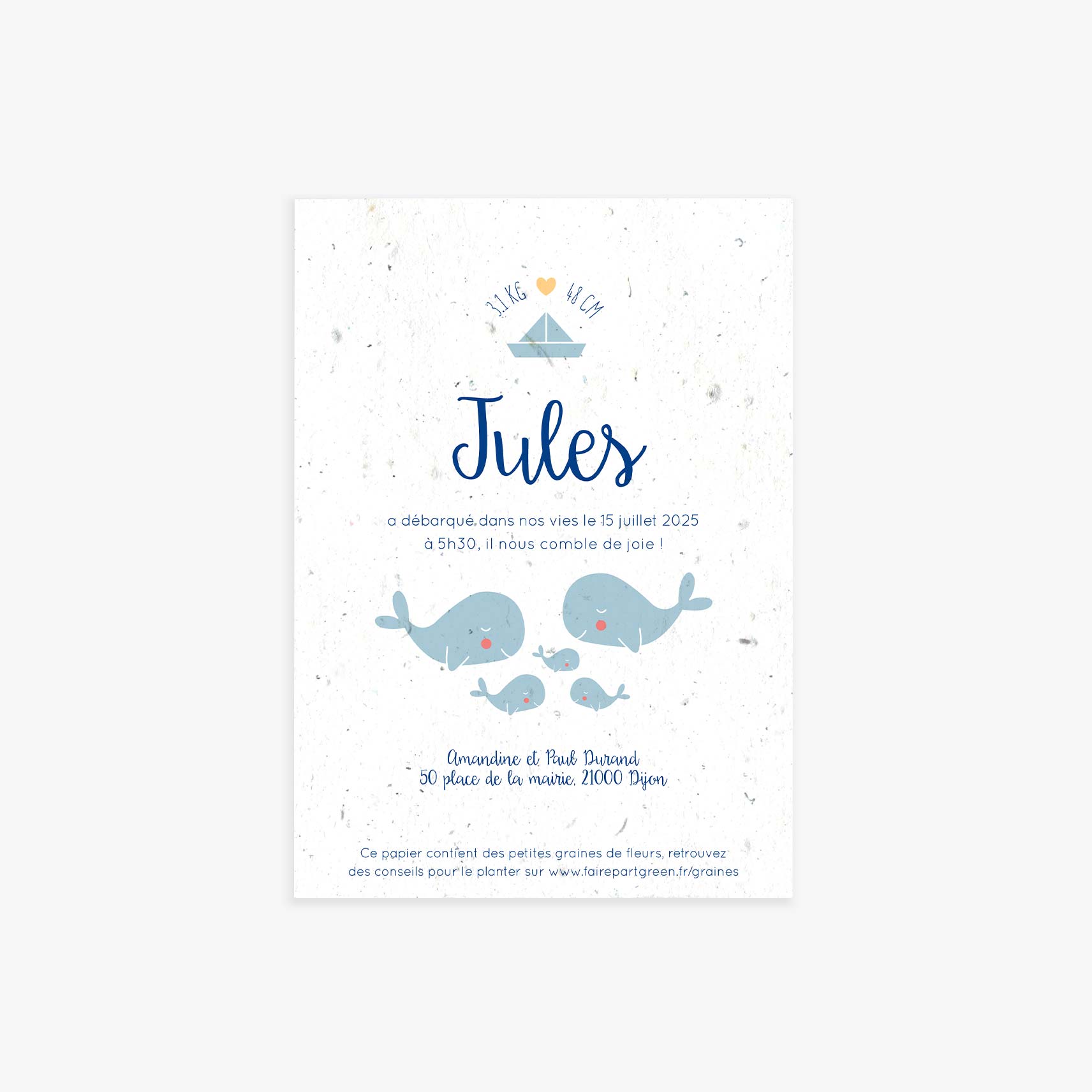 faire-part-naissance-a-planter-baleine-recto-seul-3.jpg