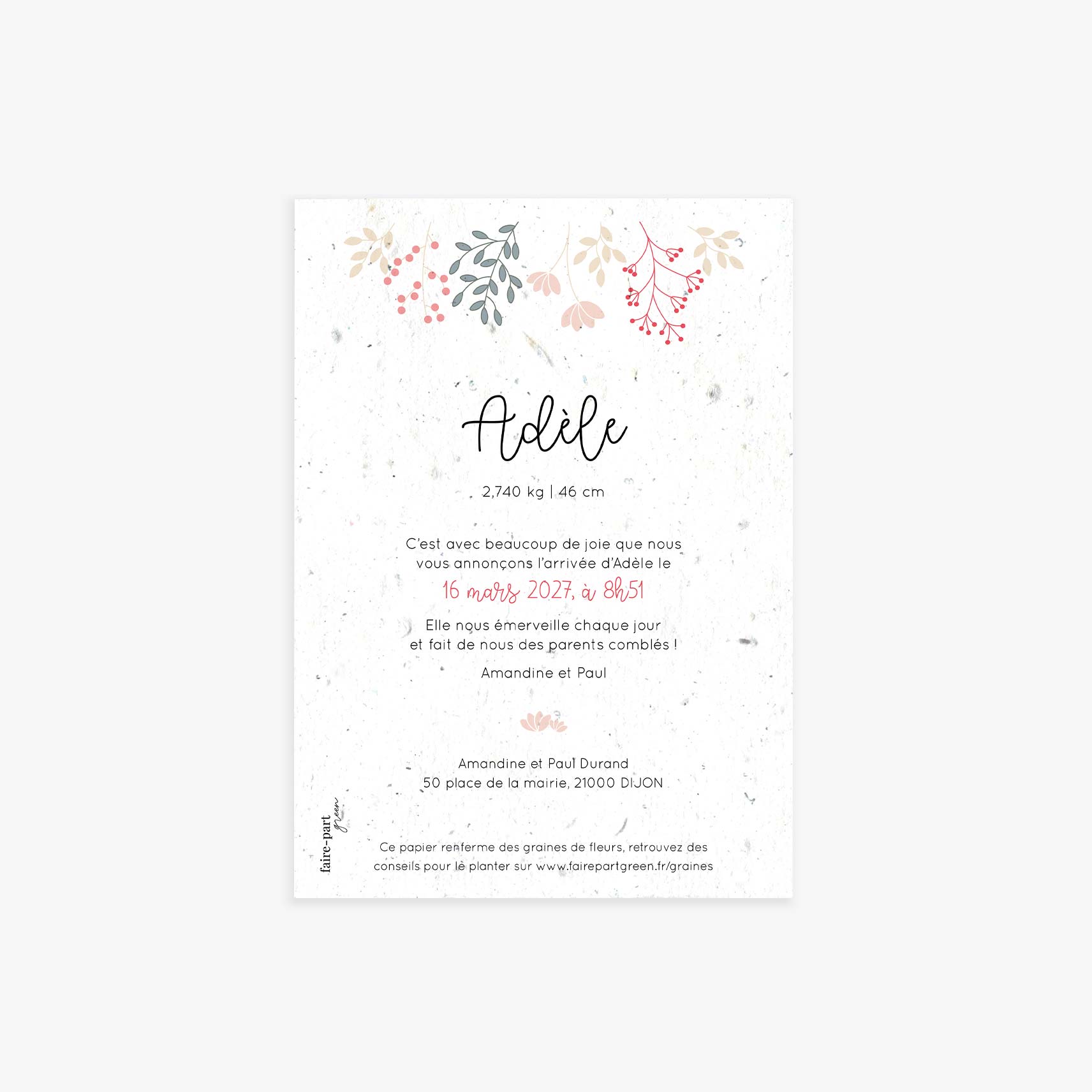 faire-part-naissance-a-planter-printemps-rose-verso.jpg