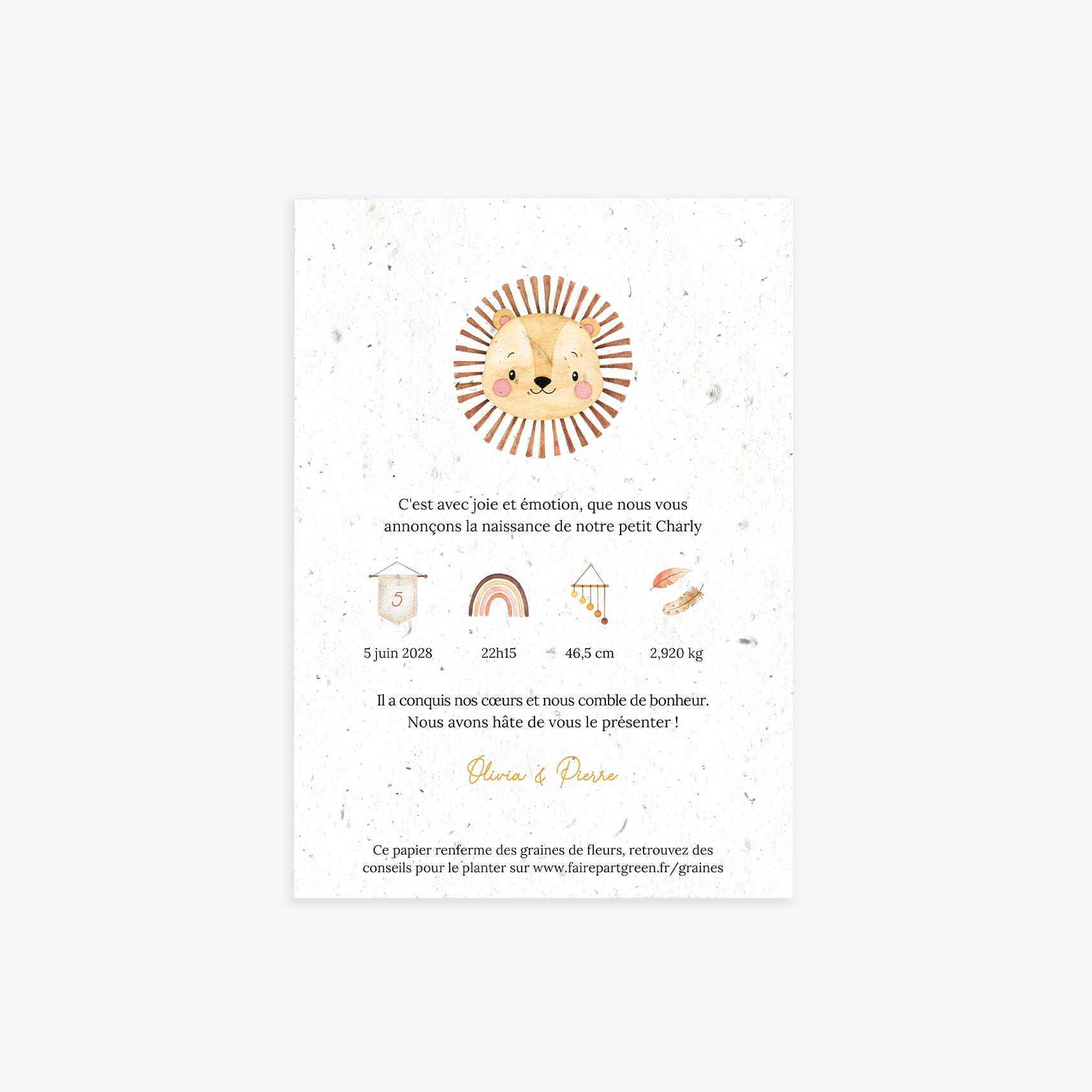 faire-part-naissance-lion-ensemence-recto-seul.jpg
