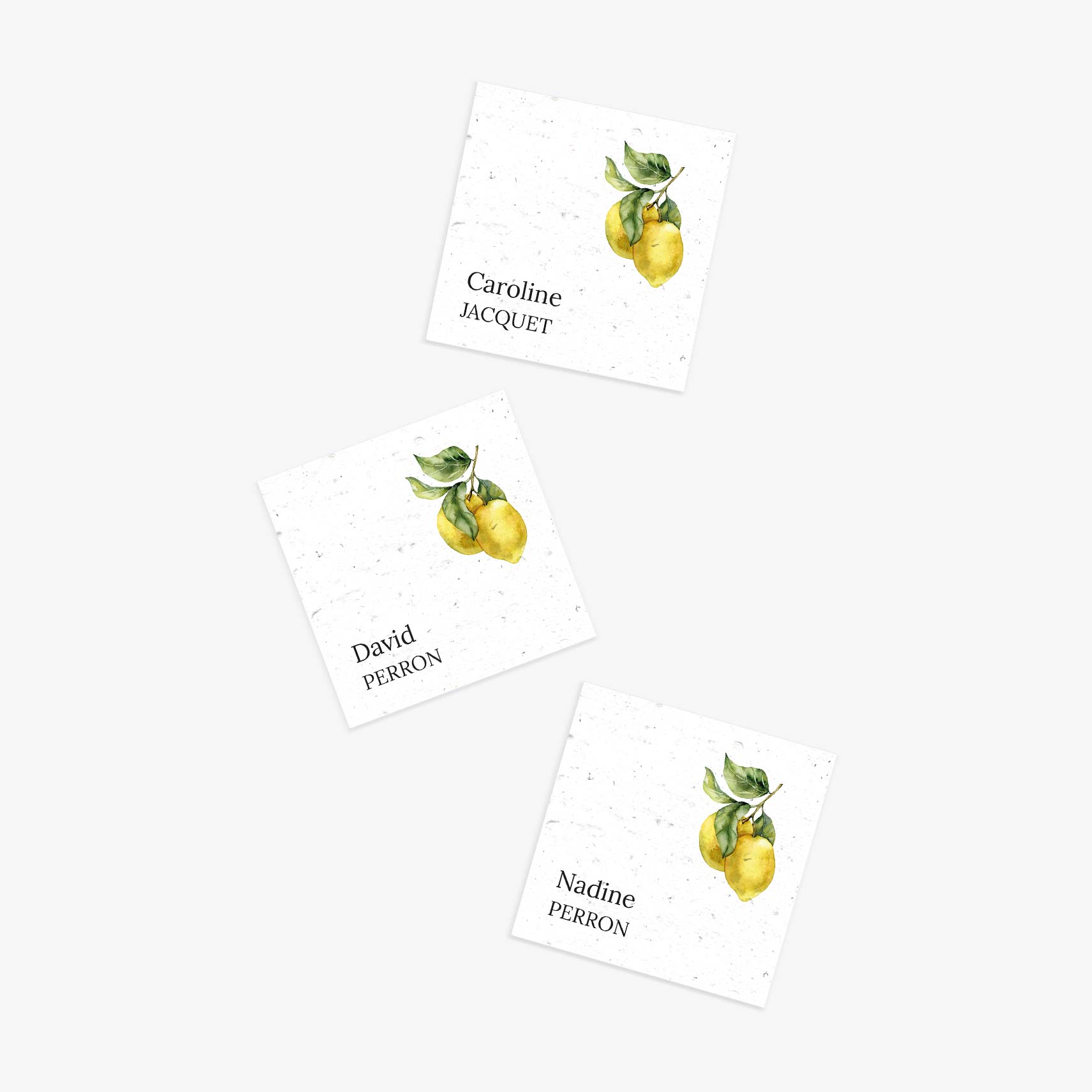 marque-place-a-planter-citron-1.jpg