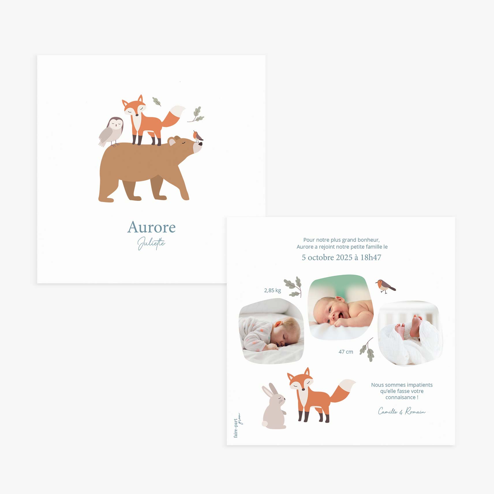 Faire-part-naissance-carre-foret-ours.jpg
