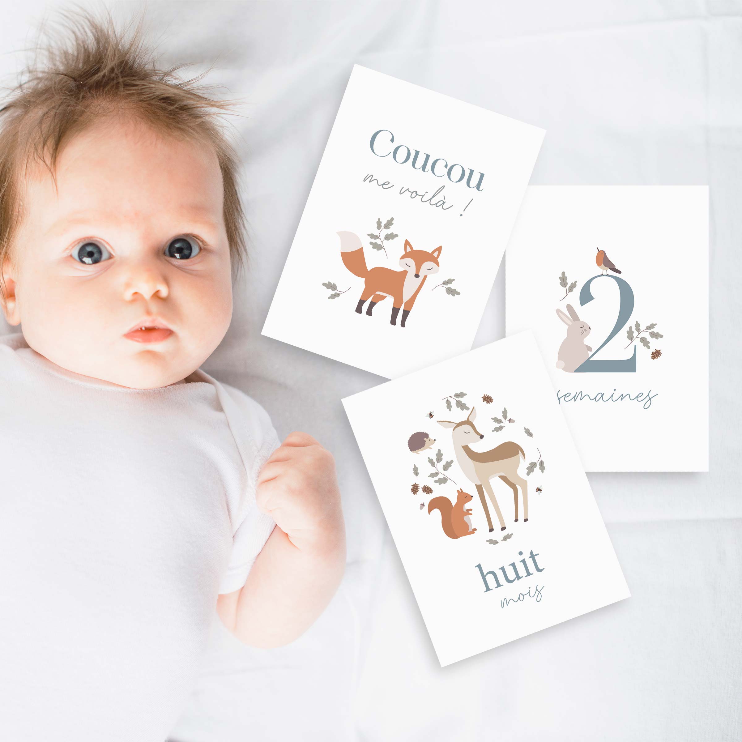 carte-étape-bébé-foret.jpg