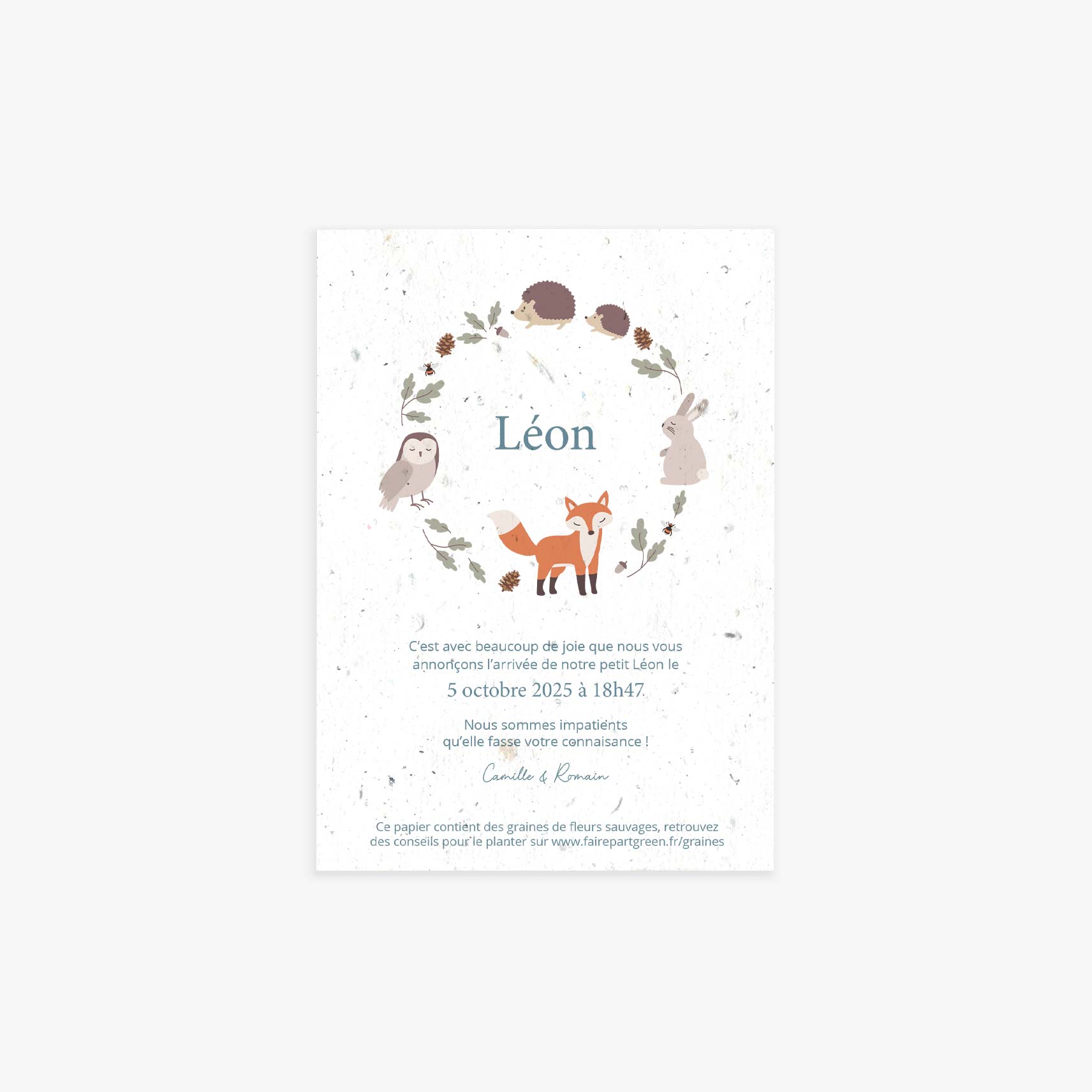 Faire-part-naissance-ensemence-foret-renard-faire-part-greenjpg.jpg