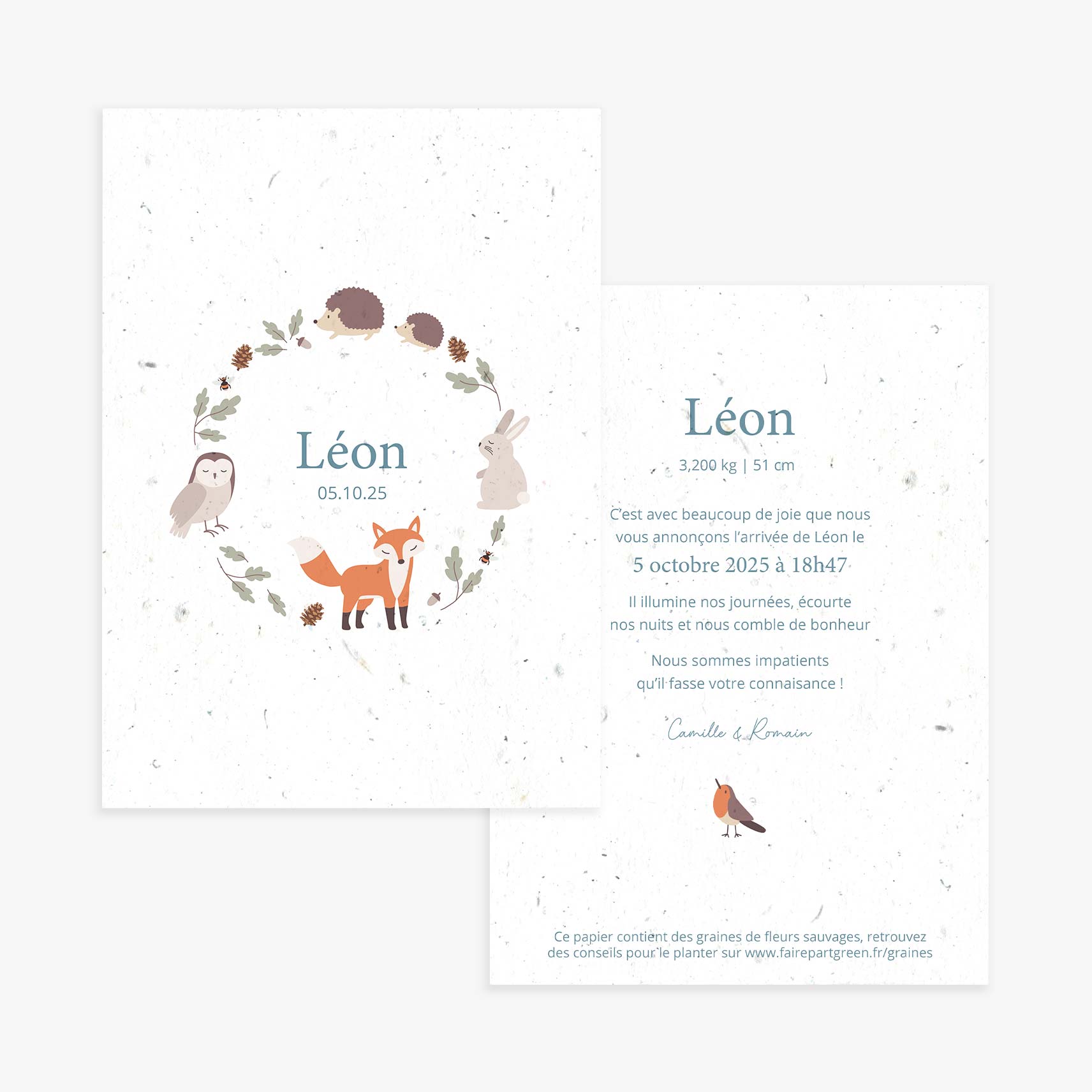 faire-part-naissance-a-planter-foret-renard-recto-verso.jpg