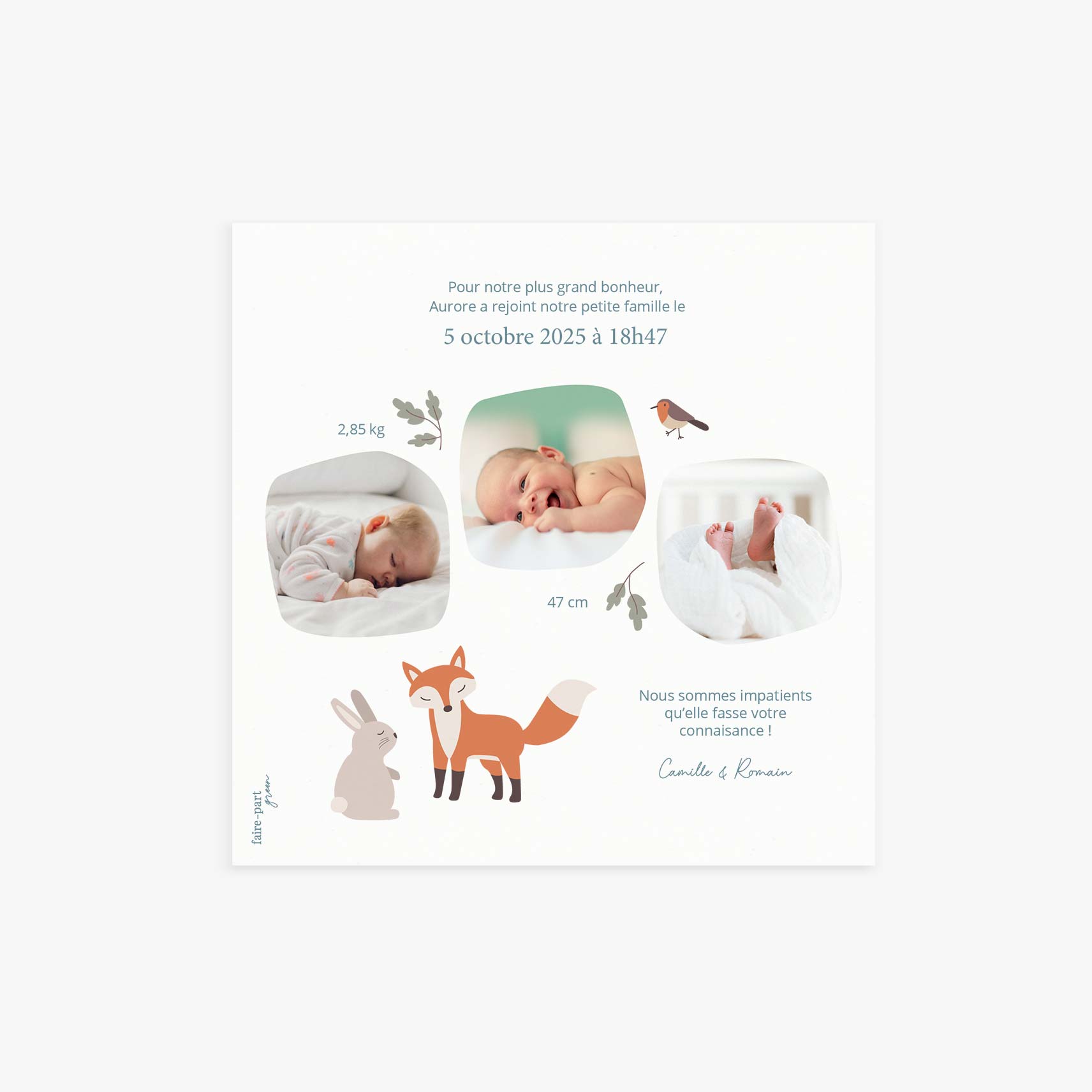 Faire-part-naissance-carre-foret-verso.jpg