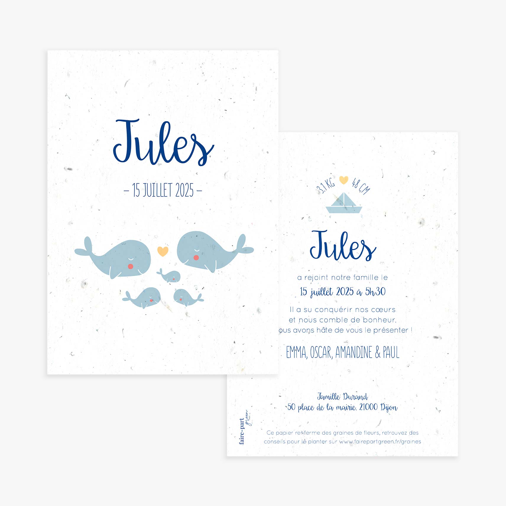 faire-part-naissance-a-planter-baleine-recto-verso-3.jpg