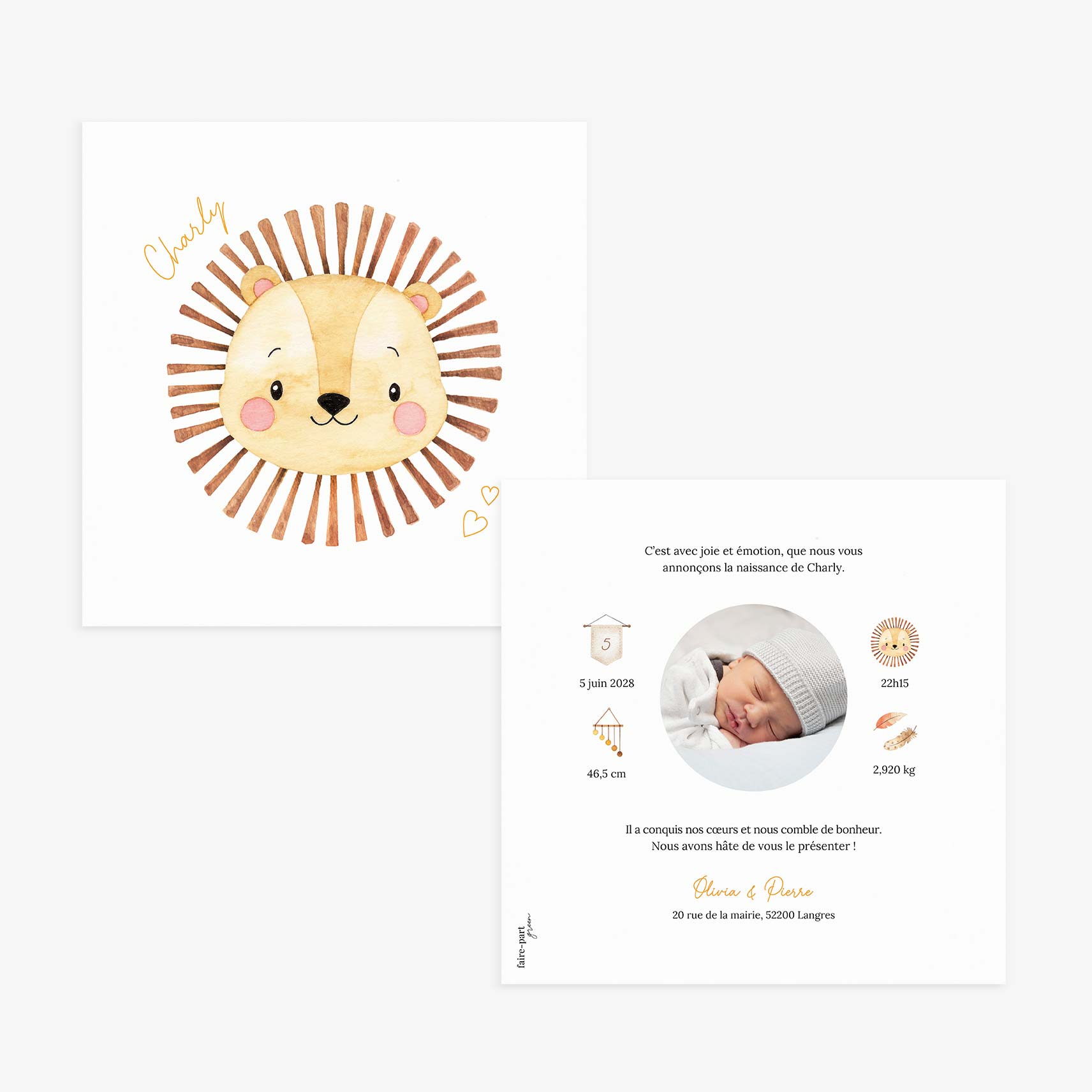 faire-part-naissance-lion-recto-verso.jpg