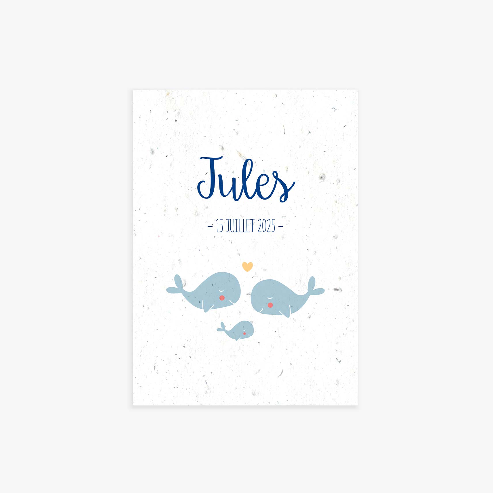 faire-part-naissance-a-planter-baleine-recto.jpg