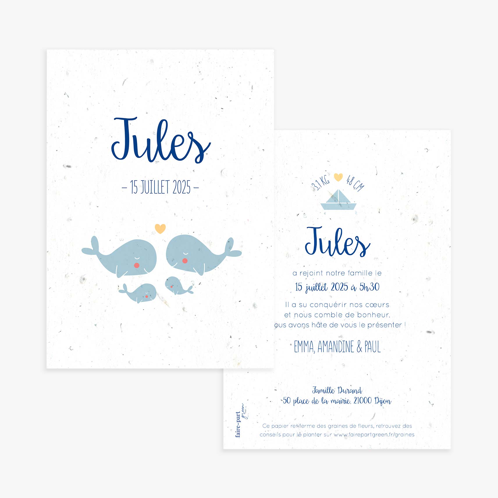 faire-part-naissance-a-planter-baleine-recto-verso-2.jpg