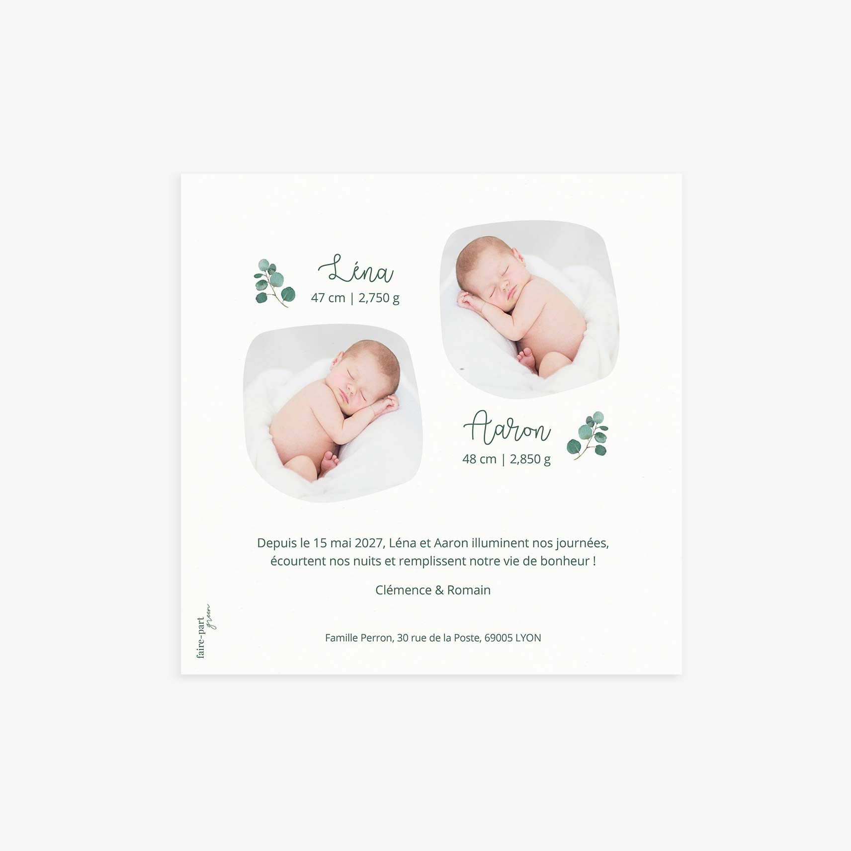 faire-part-naissance-eucalyptus-jumeaux-verso.jpg