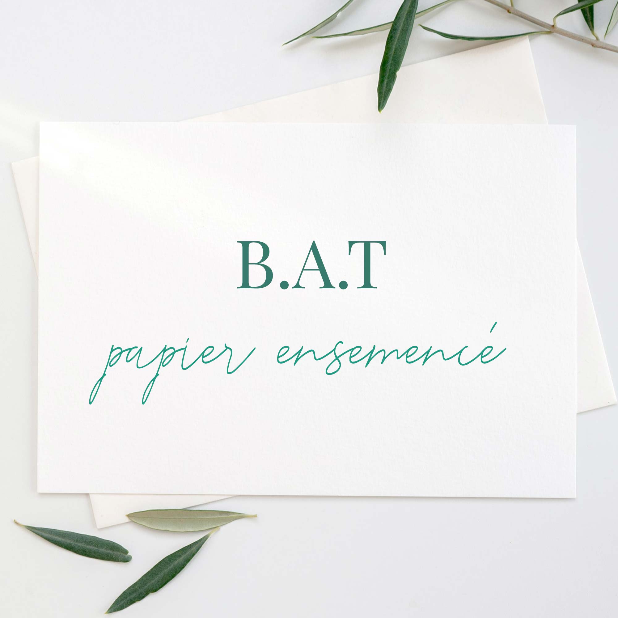BAT-papier-ensemence.jpg