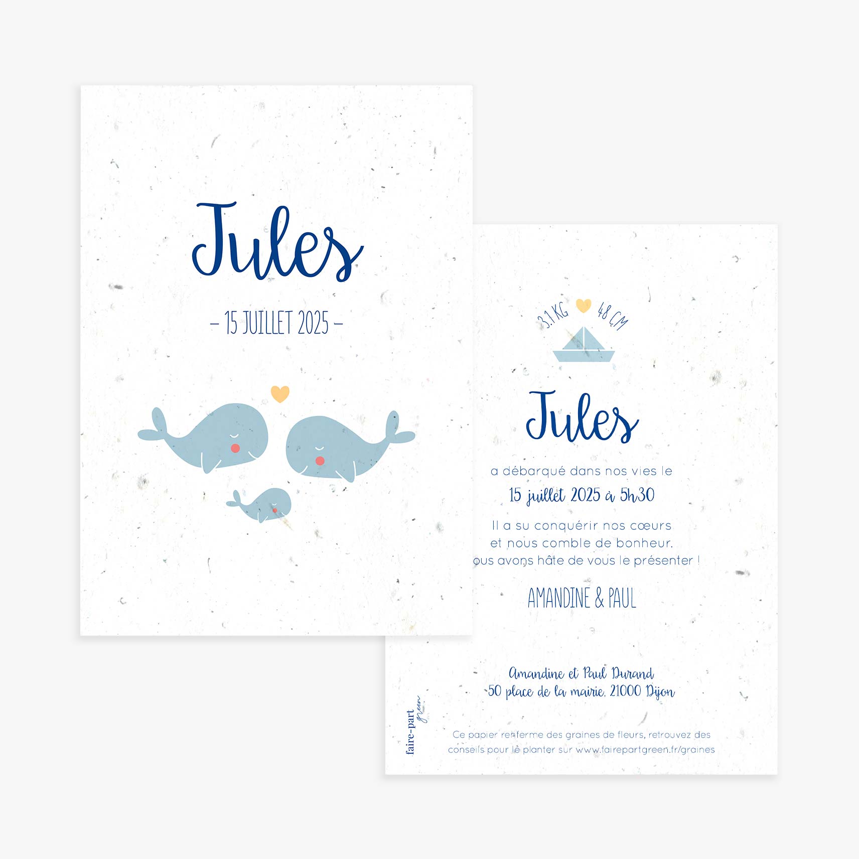 faire-part-naissance-a-planter-baleine-recto-verso.jpg