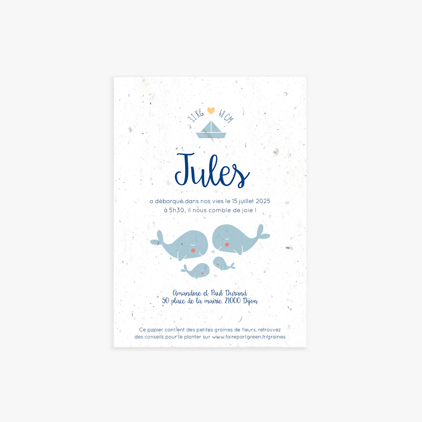 faire-part-naissance-a-planter-baleine-recto-seul-2.jpg
