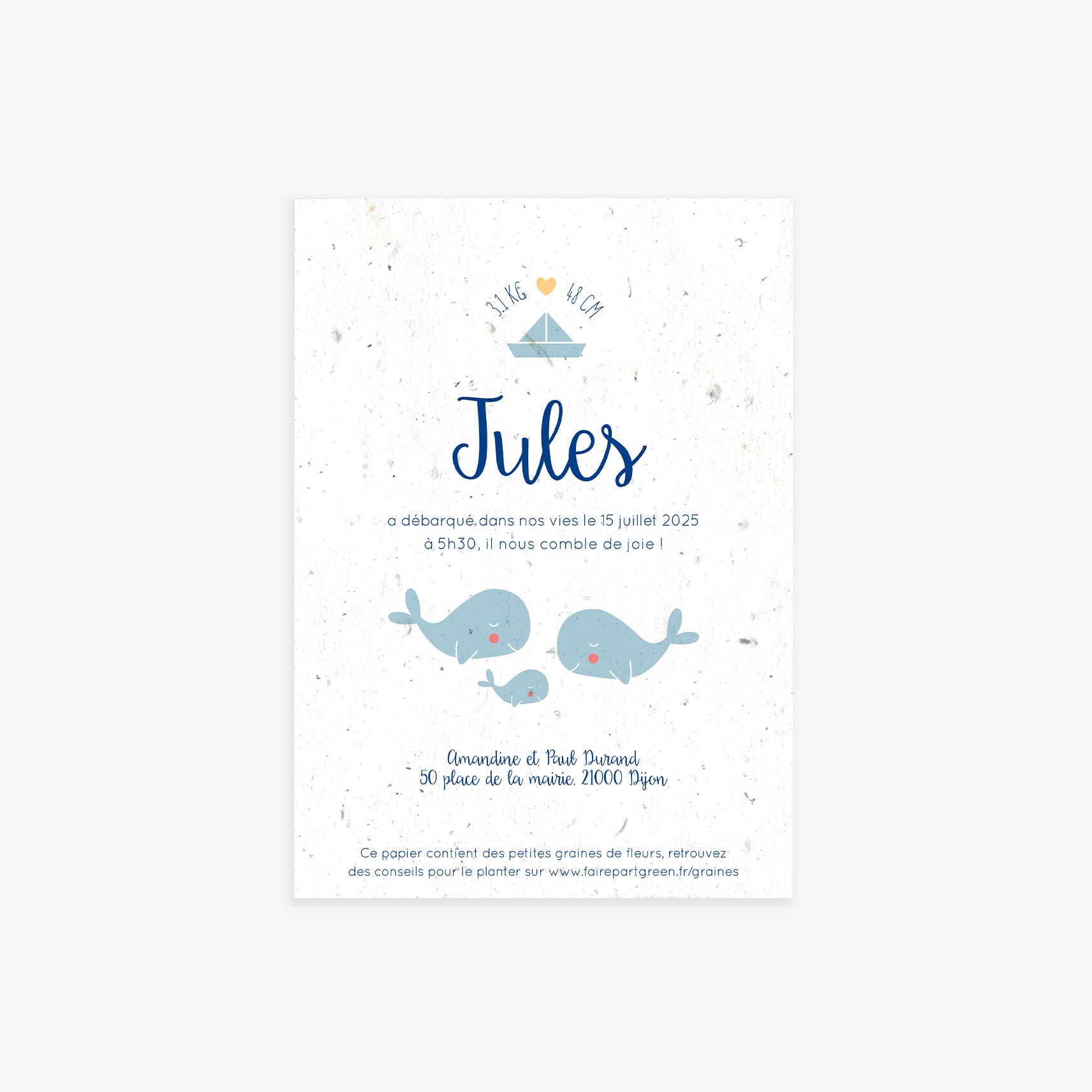 faire-part-naissance-a-planter-baleine-recto-seul.jpg